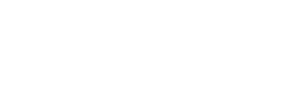 NaturaVeinTech-Logo-1 NaturaVeinTech-Logo-1